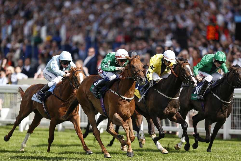 Horses running on racecourse royal ascot box design is overlooking