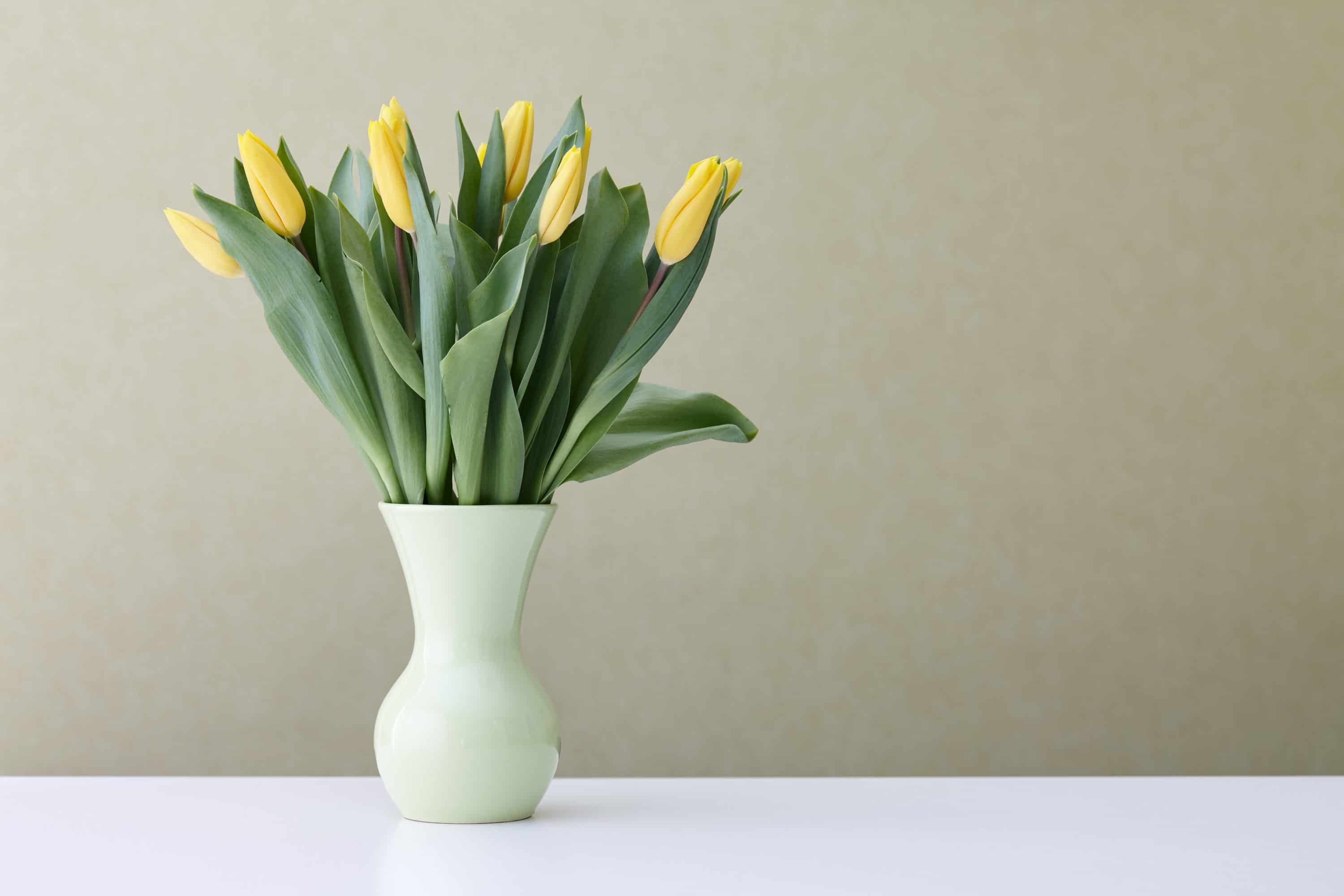tulips in a green vase for interior home design for easter